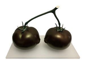 LES &Acirc;MES SOEURS